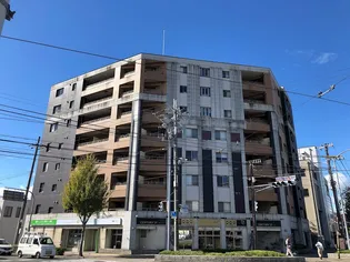 クリスタルグランツ西大路三条【5階】の外観