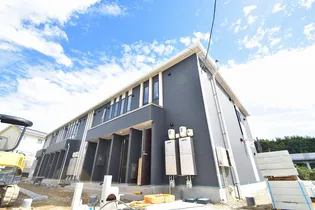 サン ライトの画像