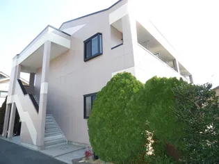 ピュアコート アイの画像