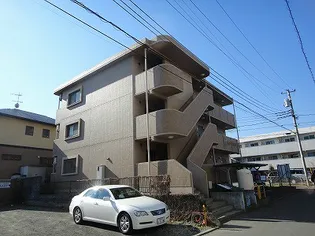 ジョワ ヴェルジェの画像