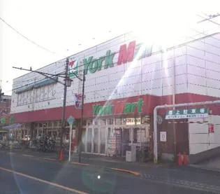 トーシンフェニックス上野毛【4階】の周辺