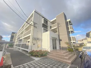 BOA SORTE KAZUの画像