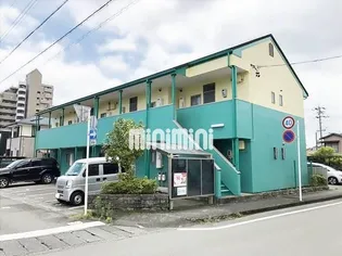 ピュア エンゼルの画像