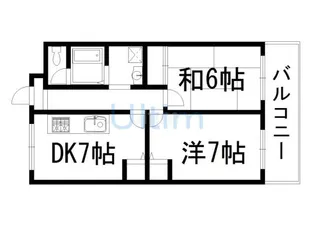 ラコルレ川政【4階】の間取り