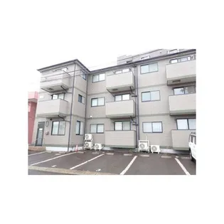 ブランメルイズミCの画像