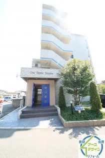 コン タント アモーレの画像