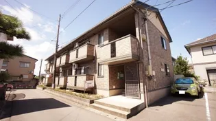 ヴィータの画像