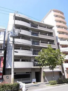 シャルマンエースの画像