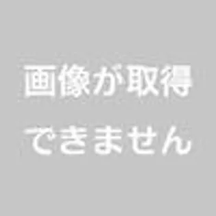 メゾン・ド・プラトー【4階】の間取り