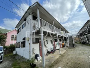 メゾンパンプキンの画像