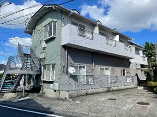 ミニ ブロッサムの画像