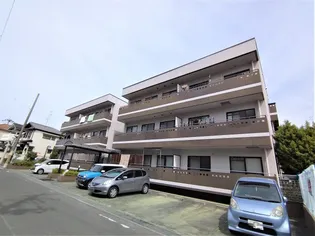 アセンブリー華の画像