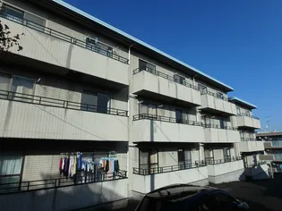 アヌシーパルの画像