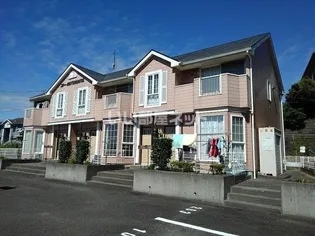 コトーMATSUSHITAの画像