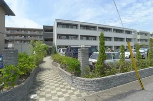 ファシナシオンの画像