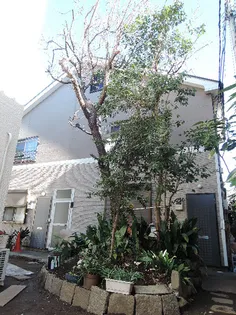 クルム若松の画像