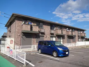 ステラIIの画像