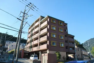 コスモポリタンの画像