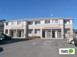 キャラメルミナスの画像