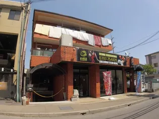 スインスィアフナコシの画像