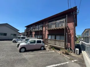 アイディアルコウガの画像