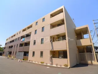 リュミエールの画像