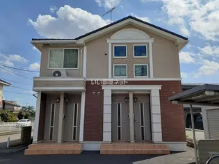 ワイズ IVの画像