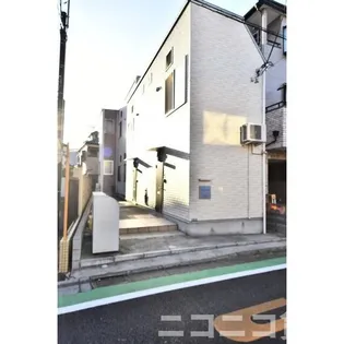 オアシスコイワの画像