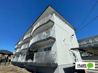 セントポーリアAの画像