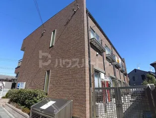 フローレンス綾瀬の画像