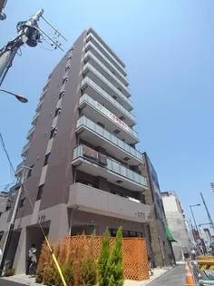 EXCELENTE SAIの画像