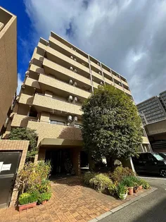 エクセレント21の画像