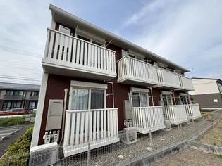 メープルの画像