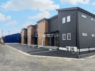 マーディラス郷花の画像