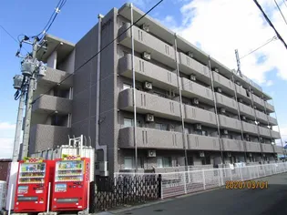 ブレインマンションの画像