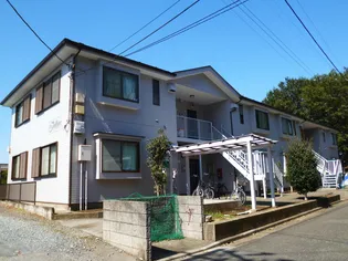 アンティームの画像