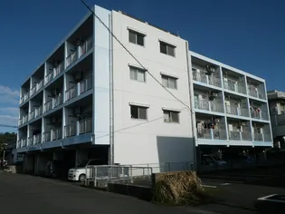 鹿児島県志布志市志布志町志布志【マンション】の外観