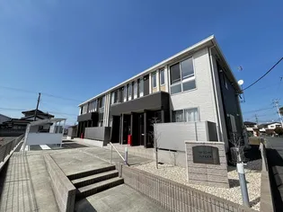 ハナミズキの画像