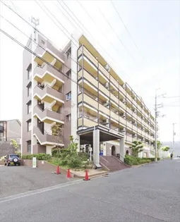 カレッジハイツディグニティー【3階】の外観