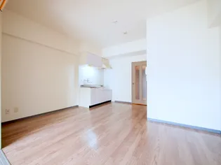 マッシモフェミニール菊水【2階】の居間