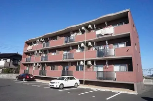 ブルアルベロの画像