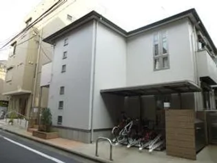 グリーンシーダの画像