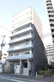 OLIVE UN ARBRE TOKIWAの画像