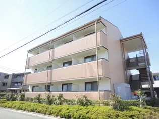 フォルトーナの画像