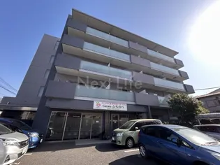 クアドリフォリエブルーの画像