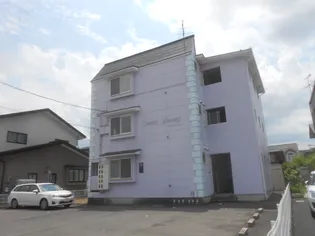 カルテットマミーの画像