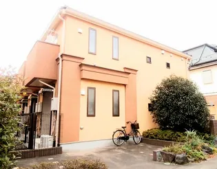 マグノリア ステラータ マキシマの画像