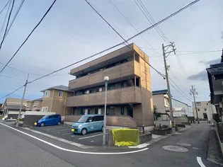 フローラIIの画像