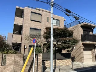 パインヒルズキリタの画像