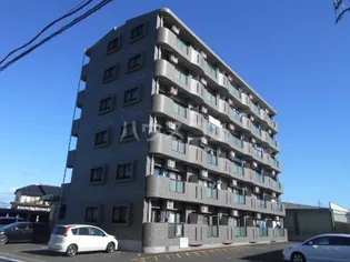 マンショングレイスの画像